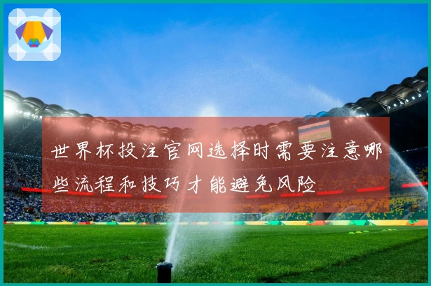 世界杯投注官网选择时需要注意哪些流程和技巧才能避免风险