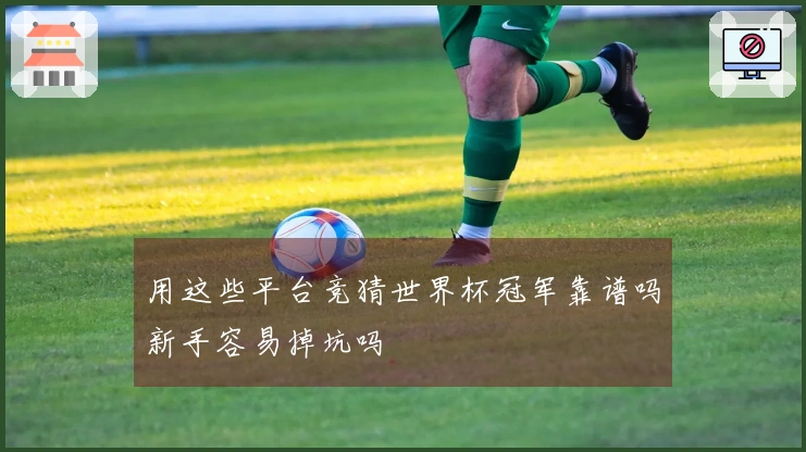 用这些平台竞猜世界杯冠军靠谱吗新手容易掉坑吗