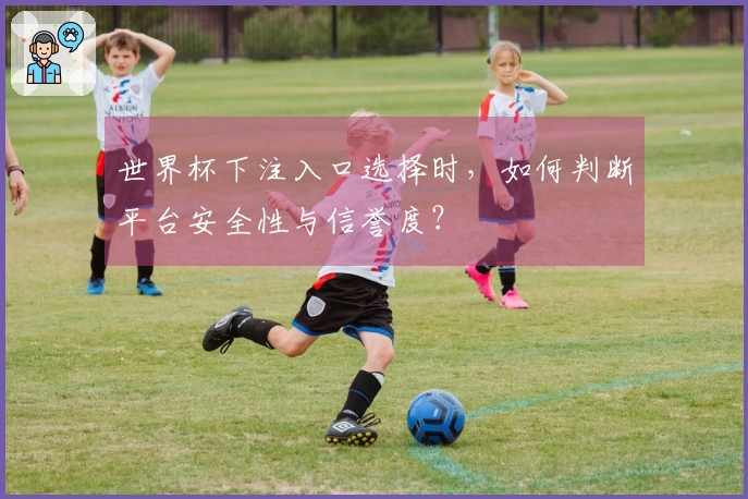 世界杯下注入口选择时，如何判断平台安全性与信誉度？