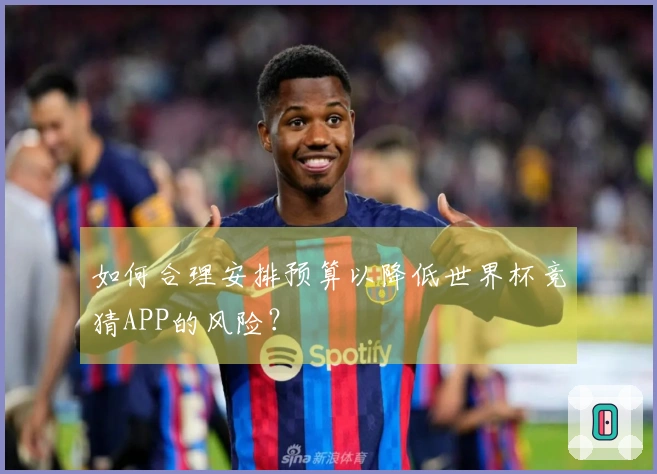 如何合理安排预算以降低世界杯竞猜APP的风险？