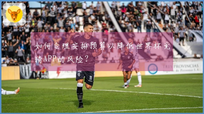如何合理安排预算以降低世界杯竞猜APP的风险?