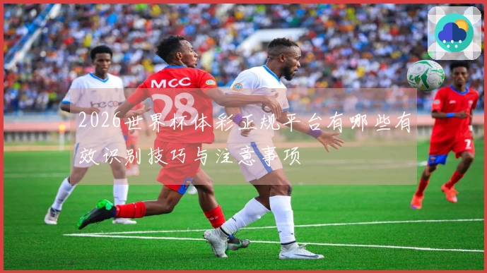 2026世界杯体彩正规平台有哪些有效识别技巧与注意事项