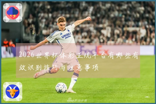 2026世界杯体彩正规平台有哪些有效识别技巧与注意事项
