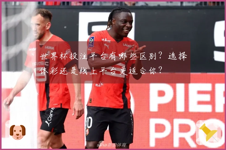 世界杯投注平台有哪些区别？选择体彩还是线上平台更适合你？