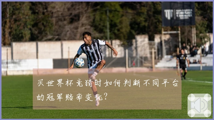 买世界杯竞猜时如何判断不同平台的冠军赔率变化？