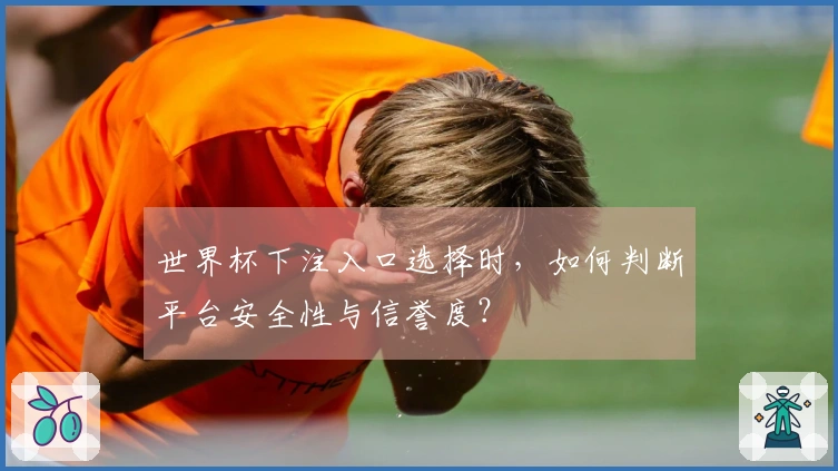 世界杯下注入口选择时，如何判断平台安全性与信誉度？