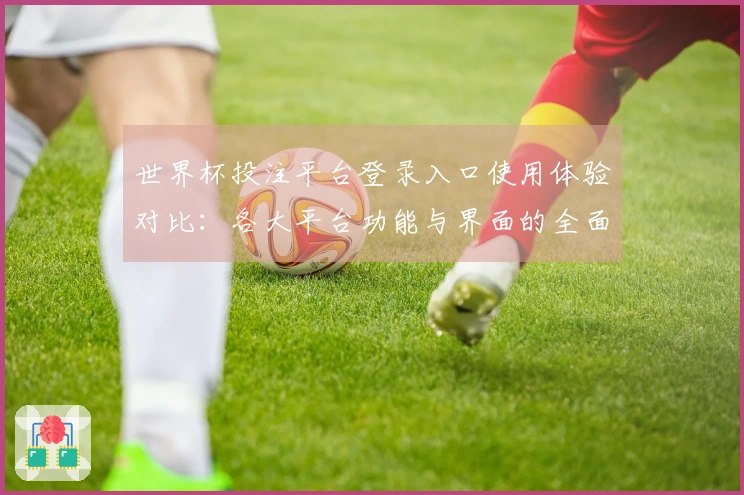 世界杯投注平台登录入口使用体验对比：各大平台功能与界面的全面评测