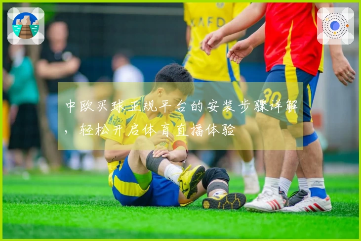 中欧买球正规平台的安装步骤详解，轻松开启体育直播体验