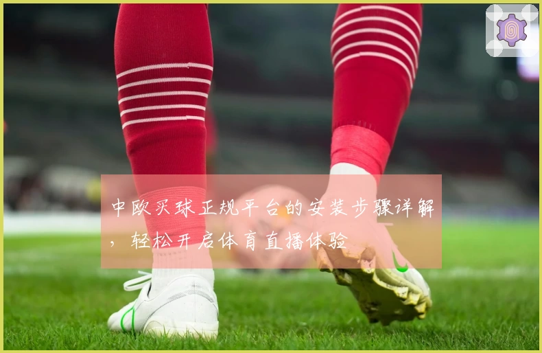 中欧买球正规平台的安装步骤详解,轻松开启体育直播体验