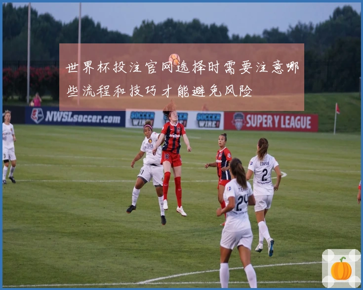 世界杯投注官网选择时需要注意哪些流程和技巧才能避免风险