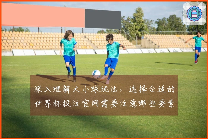 深入理解大小球玩法，选择合适的世界杯投注官网需要注意哪些要素