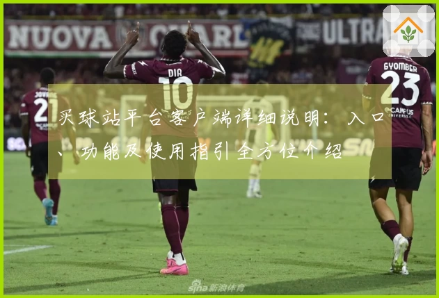 买球站平台客户端详细说明：入口、功能及使用指引全方位介绍