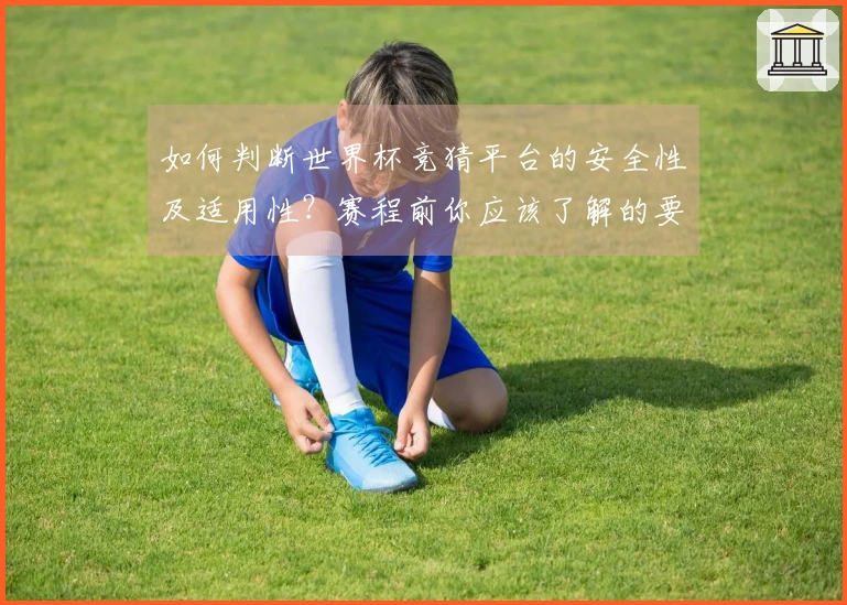 如何判断世界杯竞猜平台的安全性及适用性？赛程前你应该了解的要点
