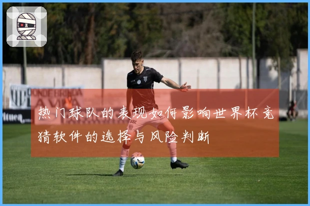 热门球队的表现如何影响世界杯竞猜软件的选择与风险判断